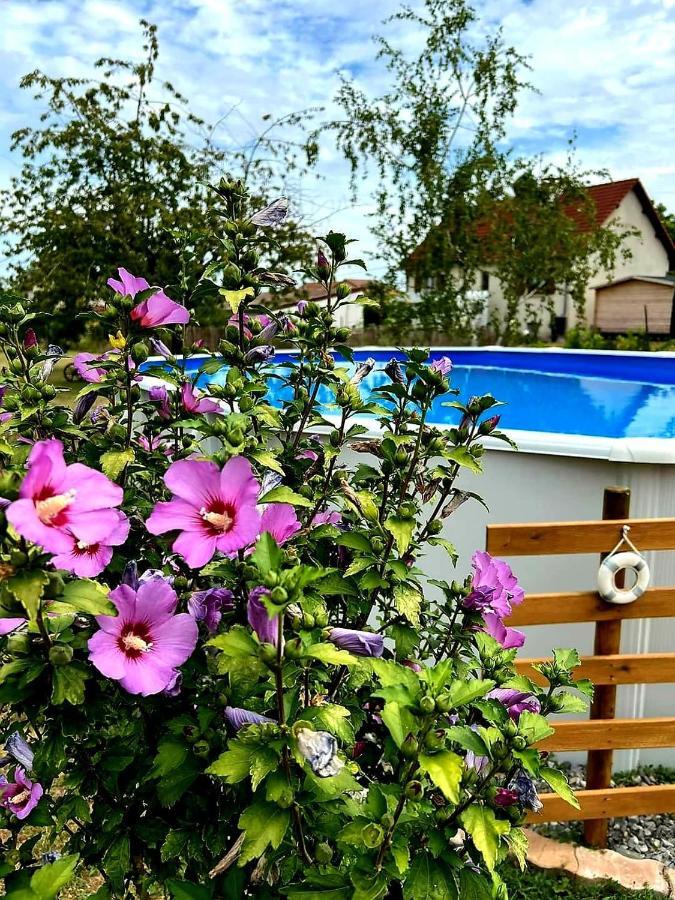 Le Heron Pourpre B&B Gastronomique Cronat Exterior foto