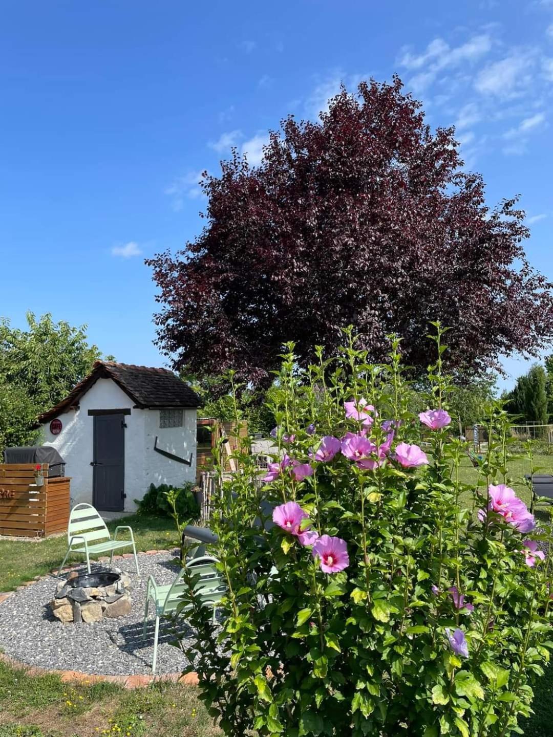 Le Heron Pourpre B&B Gastronomique Cronat Exterior foto
